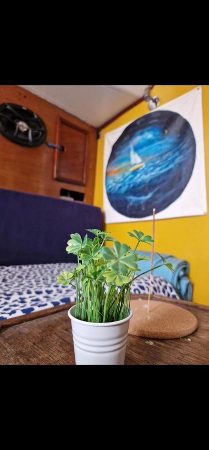 El Barquito De Arrecife Hotel อาร์เรซิเฟ ภายนอก รูปภาพ
